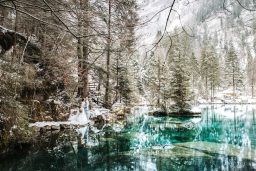 vj hochzeitsfotos 366